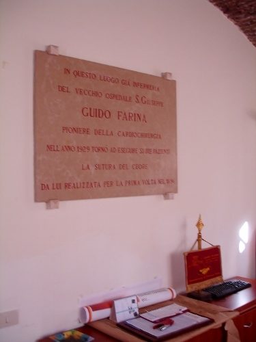 DSC04185 (375x500).jpg